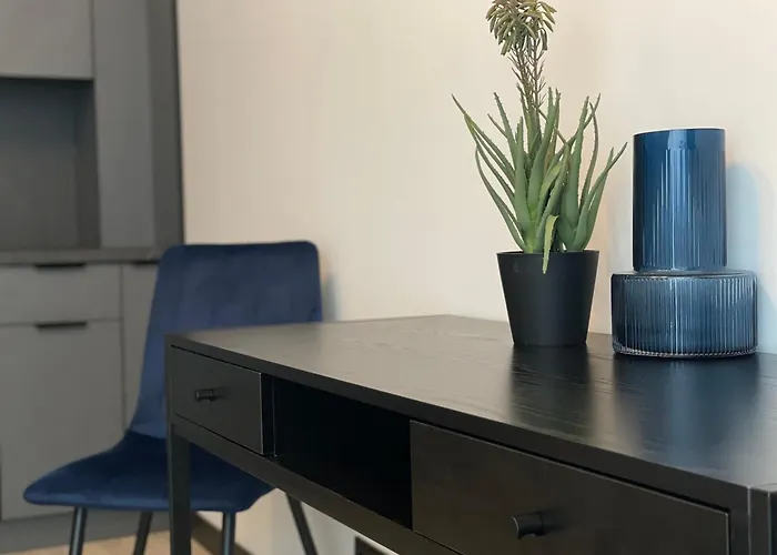 Nowoczesne Stare 琴斯托霍瓦