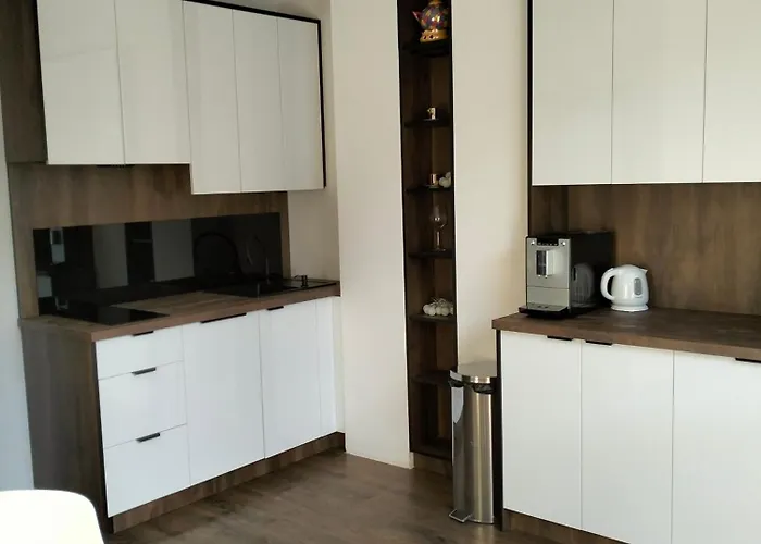 Nowoczesne Stare Appartement